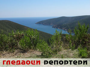 Гледаоци репортери (25. мај 2015)