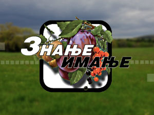 Знање имање