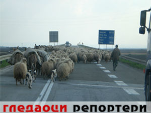 Гледаоци репортери (26. мај 2015)