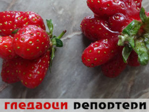 Гледаоци репортери (1. јун 2015)