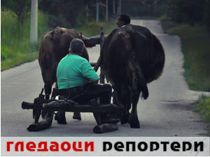 Гледаоци репортери (2. јун 2015)