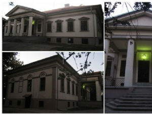 Дворци Војводине: Лазаревићи