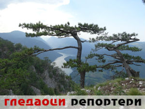 Гледаоци репортери (3. јун 2015)