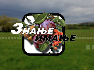 Знање имање