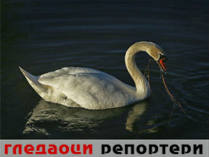 Гледаоци репортери (4. јун 2015)