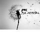 Хроника Славоније, Барање и западног Срема