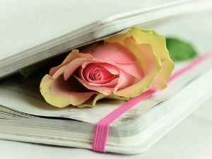 	Претпоноћни тренуци - Поема Александра Блока - Неда Спасојевић, Бранко Вујовић 