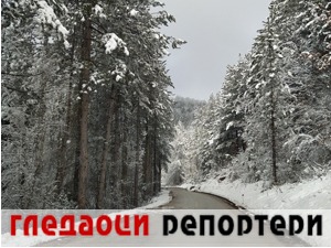 Гледаоци репортери (16. јануар 2021)