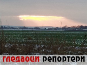 Гледаоци репортери (17. јануар 2021)