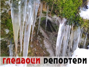 Гледаоци репортери (18. јануар 2021)