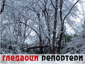 Гледаоци репортери (25. јануар 2021)