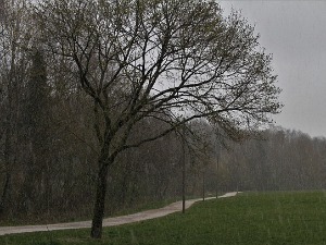 Враћа се зима, забелеће се и у нижим пределима 