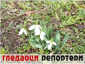 Гледаоци репортери (26. јануар 2021)