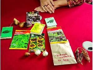 Време је да посадите семе!