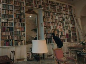 Продавци књига