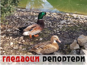 Гледаоци репортери (27. јануар 2021)