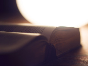 Претпоноћни тренуци - Песме Весне Парун - Горица Поповић