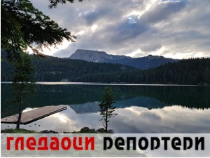 Гледаоци репортери (3. фебруар 2021)