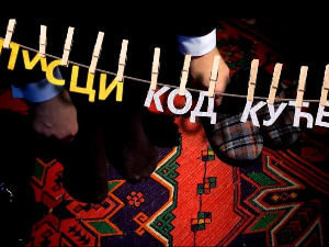 Писци код куће