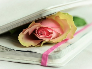 	Претпоноћни тренуци - Песме Жака Превера - Неда Спасојевић и Петар Банићевић 