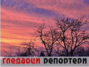 Гледаоци репортери (8. фебруар 2021)