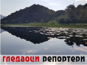 Гледаоци репортери (10. фебруар 2021)