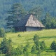Горштаци међу златиборским боровима