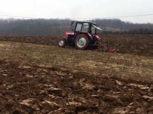 Нова помоћ задругарима, ко може да добије напуштене сеоске куће