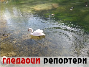 Гледаоци репортери (21. фебруар 2021)