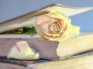 	Претпоноћни тренуци - Песме Драгана Колунџије - Љуба Ковачевић 