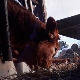 Знање-имање: Успех