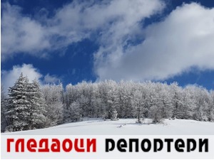 Гледаоци репортери (28. фебруар 2021)