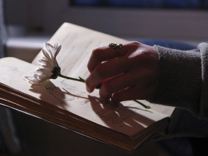 	Претпоноћни тренуци - Канцонијер - Франческо Петрарка - Данило Срећковић 