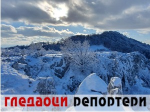 Гледаоци репортери (2. март 2021)