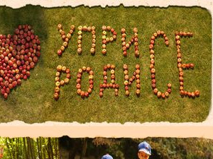 Уприродисе