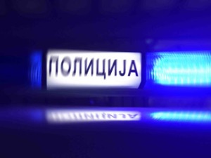 Петоро ухапшено у Нишу, сумња се да су фалсификовали документа за увоз хране