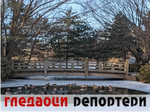 Гледаоци репортери (5. март 2021)