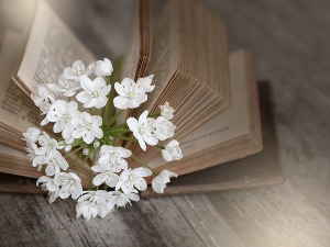 	Претпоноћни тренуци - Позни часови - Алекса Шантић - Светислав Вуковић