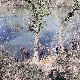 Полиција извлачи аутомобил из Западне Мораве, пронађено тело једне особе