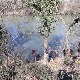 Из Западне Мораве извучено и тело сувозача