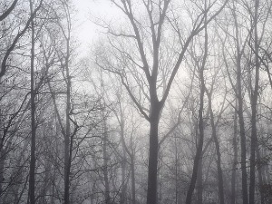 Право лице Баба Марте - хладно и кишовито, на планинама снег