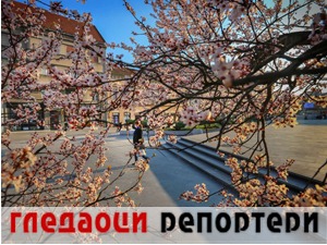 Гледаоци репортери (12. март 2021)