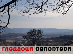 Гледаоци репортери (13. март 2021)