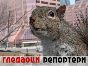 Гледаоци репортери (16. март 2021)