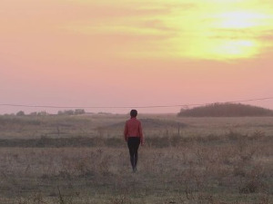 Доситеј путник просвећености