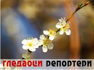 Гледаоци репортери (19. март 2021)