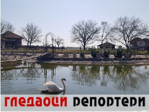 Гледаоци репортери (20. март 2021)