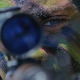 Ратне приче са Кошара, трећа епизода