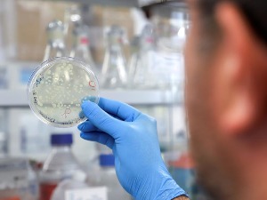 Шта треба да знате ако желите да проверите антитела после вакцине