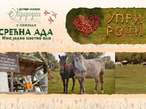 Уприродисе